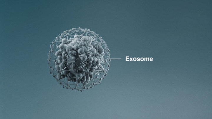 Exosomen: De Slimste Huidverzorging Tot Nu Toe? 🤯